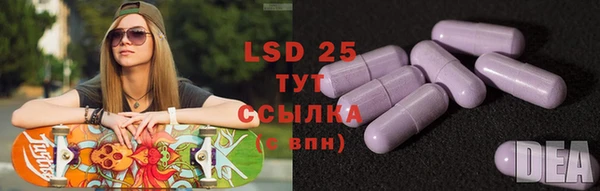 мяу мяу мука Белокуриха