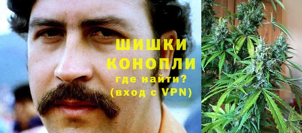 мяу мяу мука Белокуриха